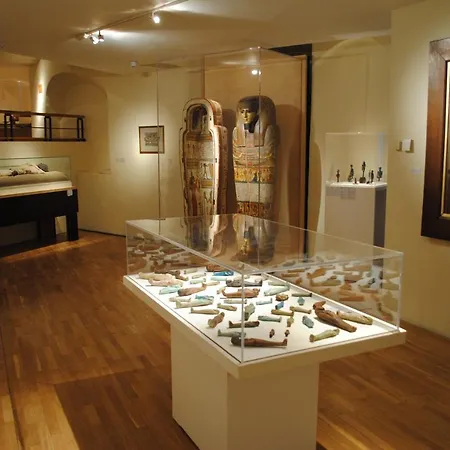 L'amazonia : Face A La Basilique Parking Gratuit Lejlighed Boulogne-sur-Mer