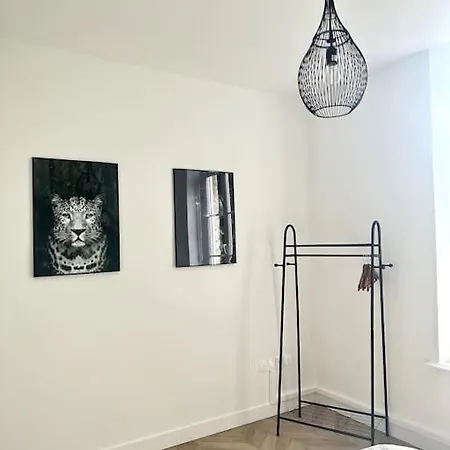 L'amazonia : Face A La Basilique Parking Gratuit Lejlighed