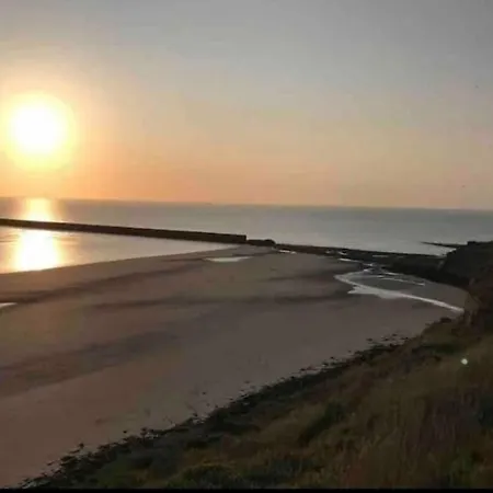 L'amazonia : Face A La Basilique Parking Gratuit Lejlighed