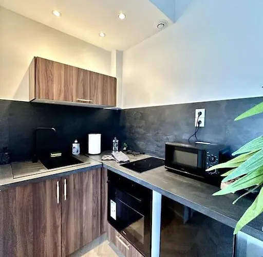 Appartement L'amazonia : Face A La Basilique Parking Gratuit Boulogne-sur-Mer