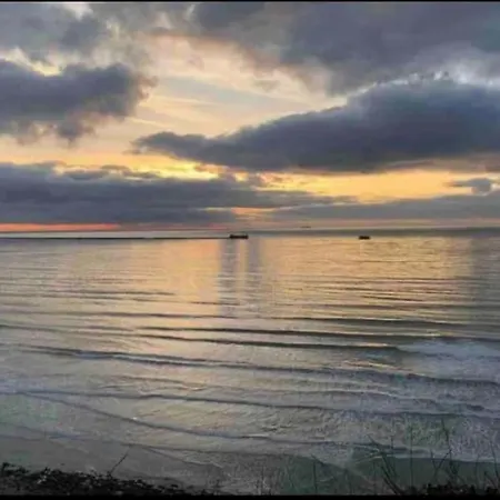 L'amazonia : Face A La Basilique Parking Gratuit *