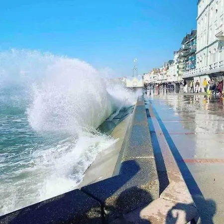 L'amazonia : Face A La Basilique Parking Gratuit