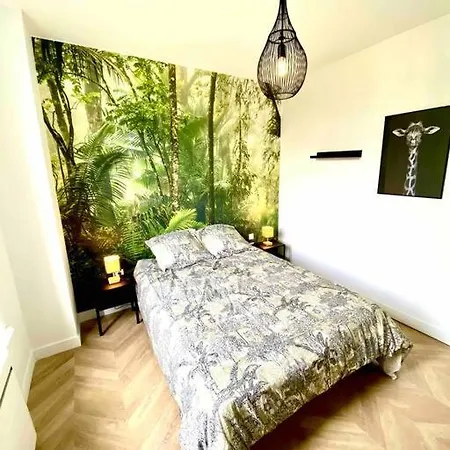 L'amazonia : Face A La Basilique Parking Gratuit Appartement *