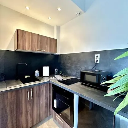 Appartement L'amazonia : Face A La Basilique Parking Gratuit Boulogne-sur-Mer