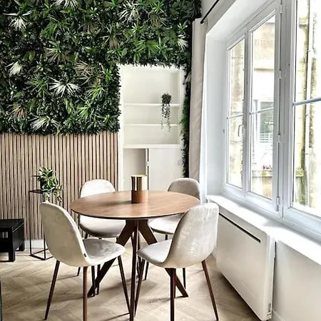 L'amazonia : Face A La Basilique Parking Gratuit