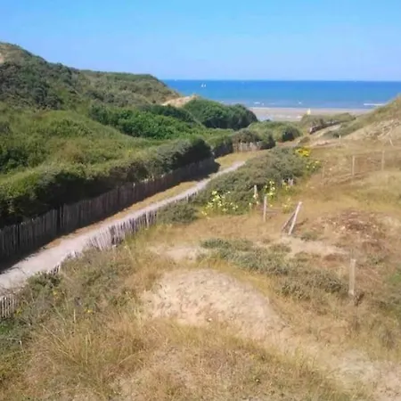 L'amazonia : Face A La Basilique Parking Gratuit *