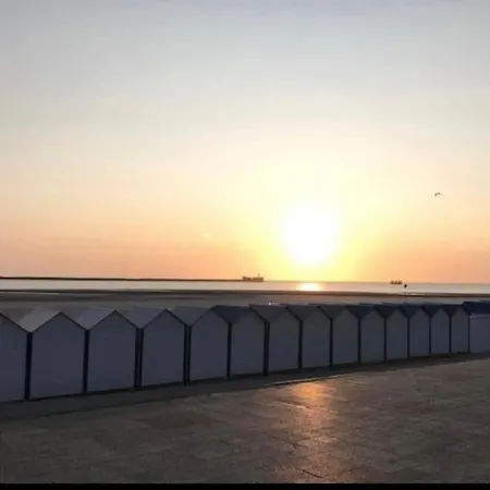 L'amazonia : Face A La Basilique Parking Gratuit 公寓 *