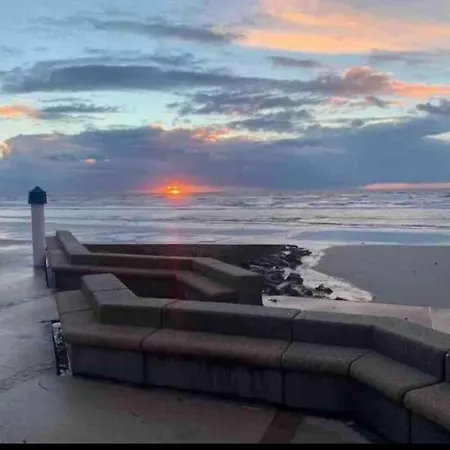 公寓 L'amazonia : Face A La Basilique Parking Gratuit